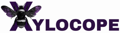 Xylocope